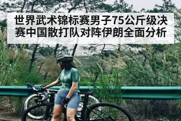 世界武术锦标赛男子75公斤级决赛中国散打队对阵伊朗全面分析